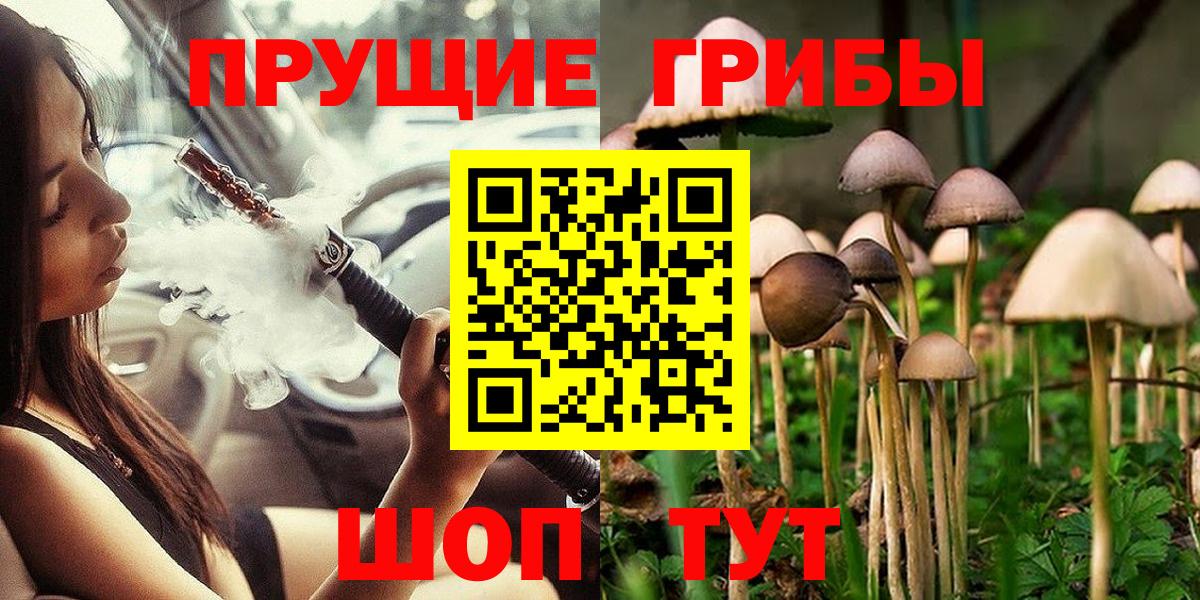 продажа наркотиков  Вход с VPN  Пушкино  Псилоцибиновые грибы Psilocybe 